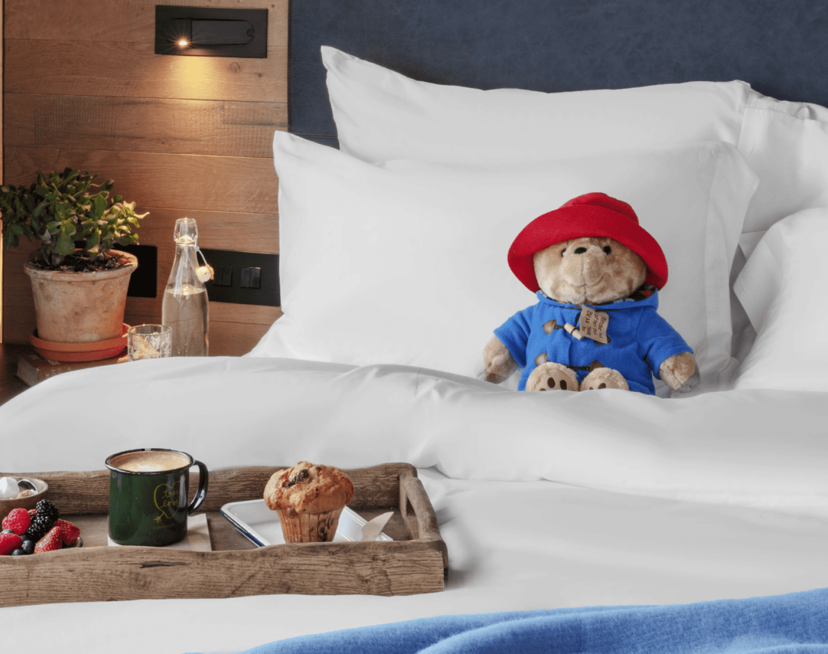 Paddington bear on hotel bed