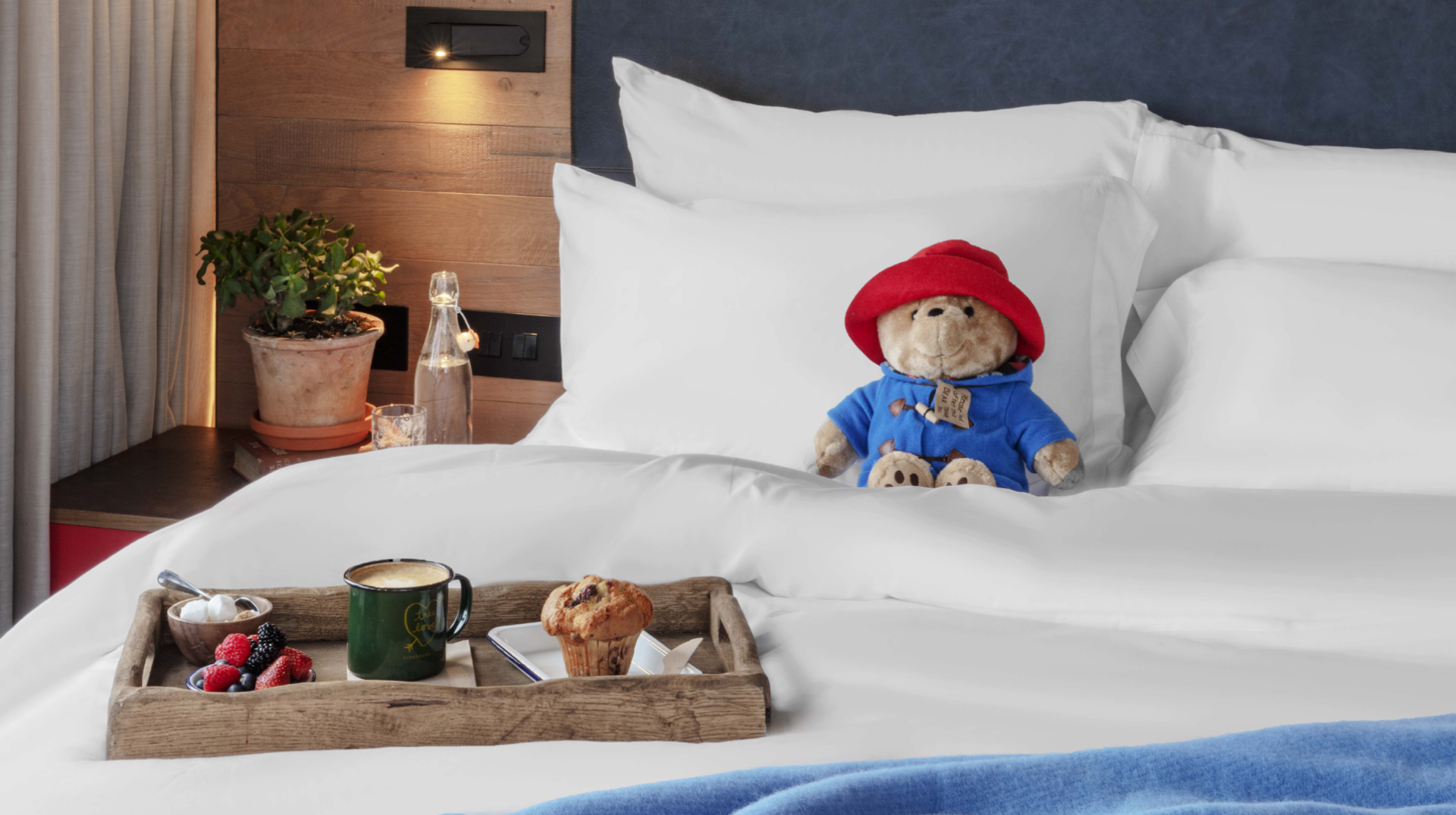 Paddington bear on hotel bed