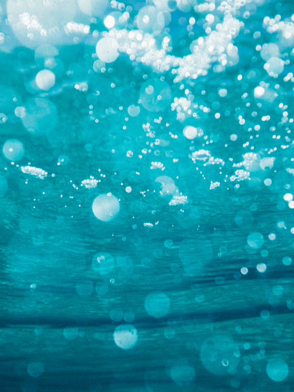 Enchantment Under The Sea