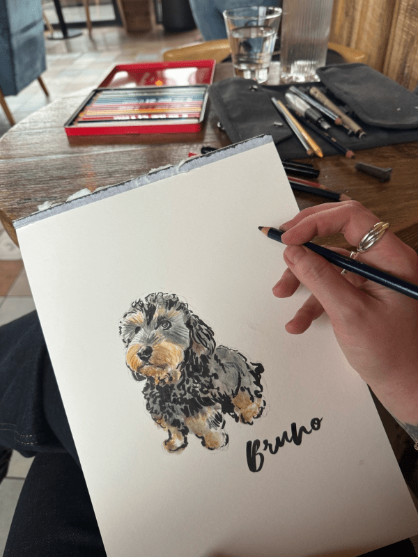 paws and portraits