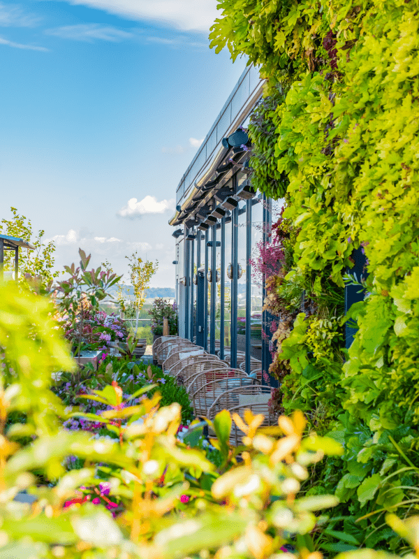 View of rooftop between plant life