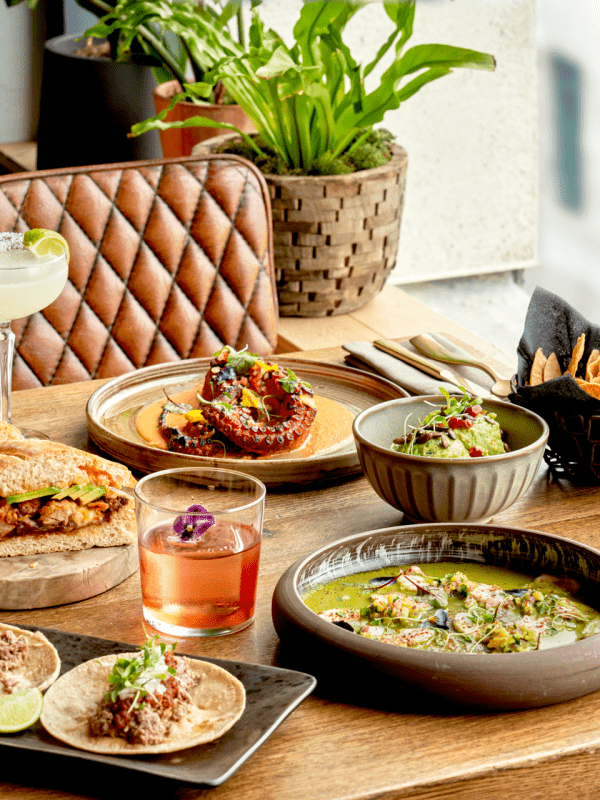 A spread of dinner on a table by a window at Treehouse Hotel.