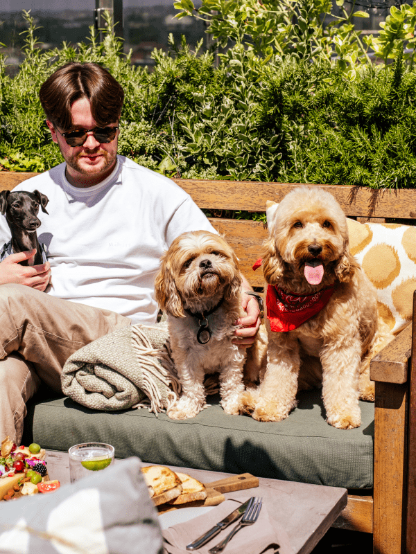 a man sitting at an outside restaurant on the roof with three dogs