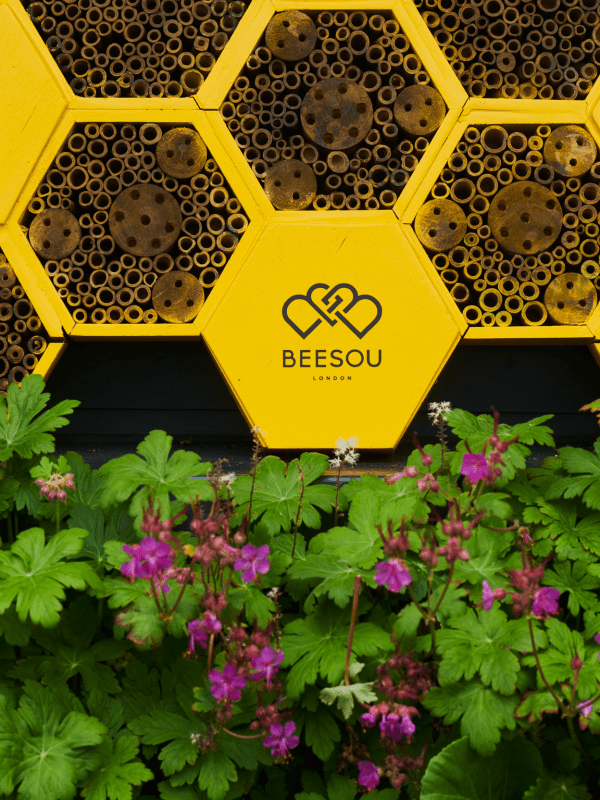 Beesou signage made to look like a honeycomb