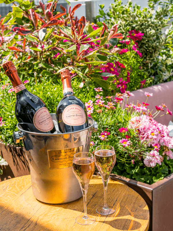 The Nest Summer Terrace