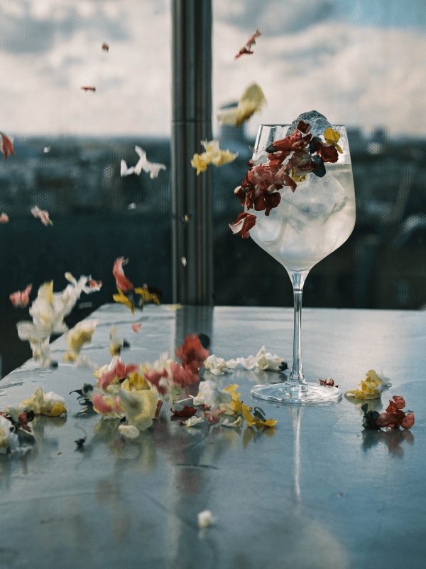 Nest cocktail fun