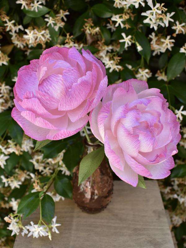 Peony Workshop