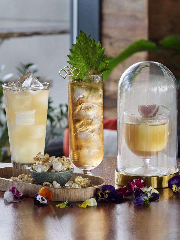 Nest signature cocktails 
