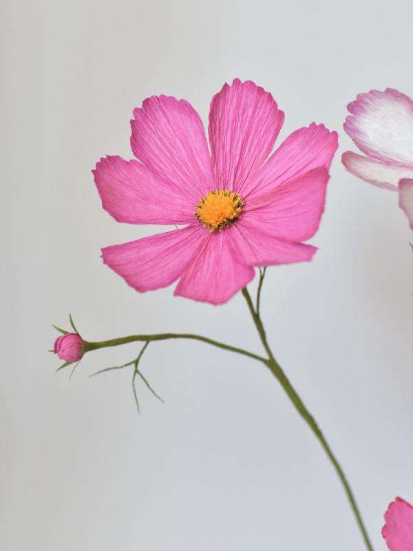 Paper Flower