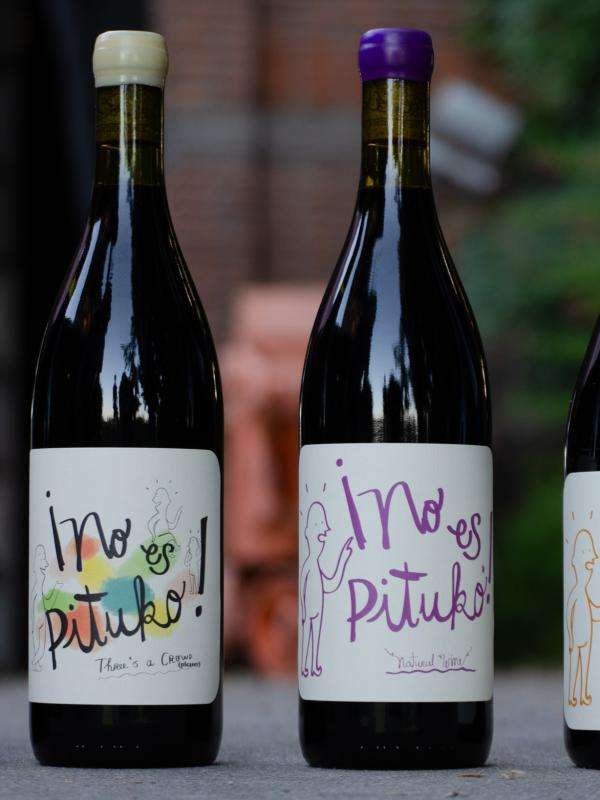 Bottles of Chilean Wine