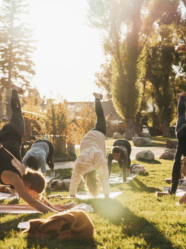 Yoga on the lawn