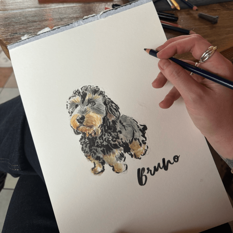 paws and portraits