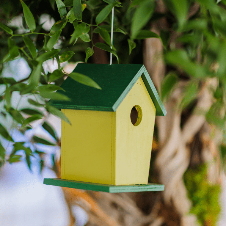Birdbox