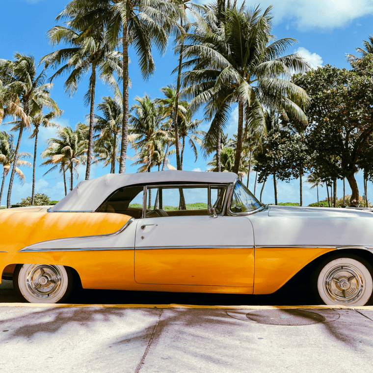 Treehouse Hotel Miami Beach