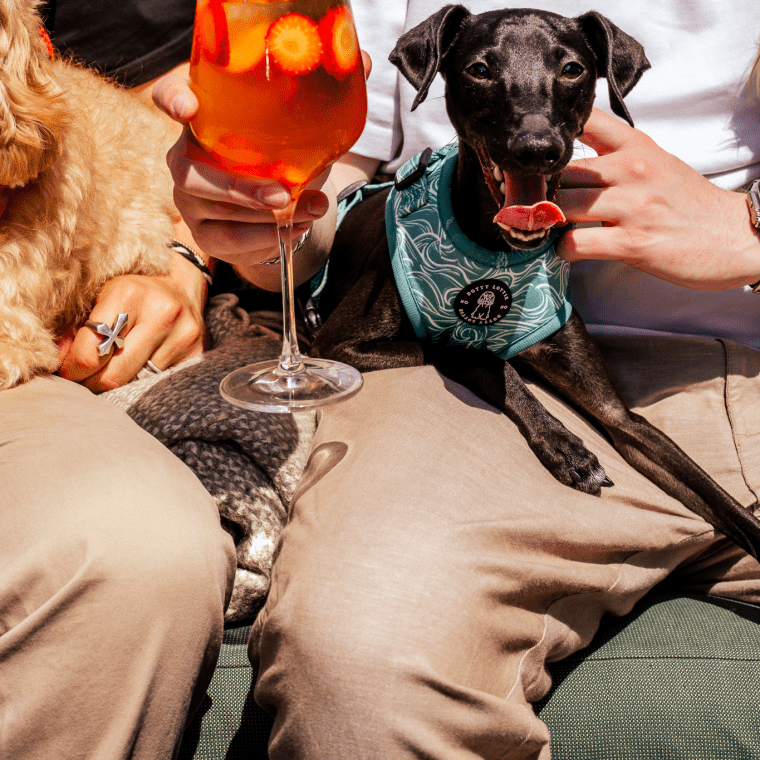 Drinks on the woof