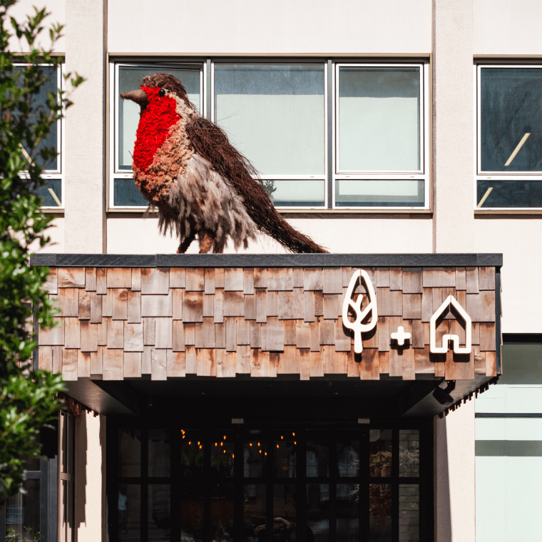 Entrance to Treehouse London