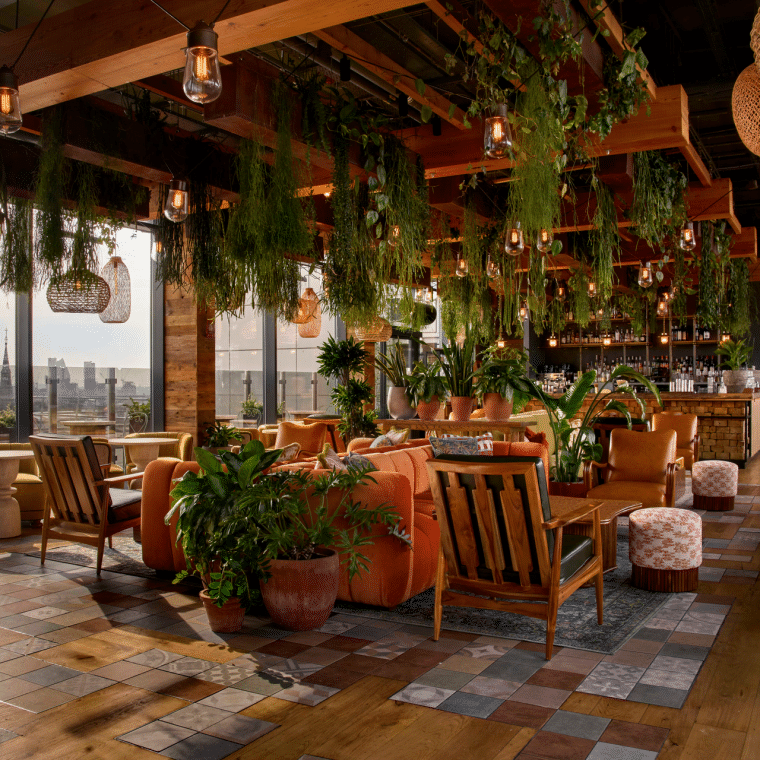 The Nest