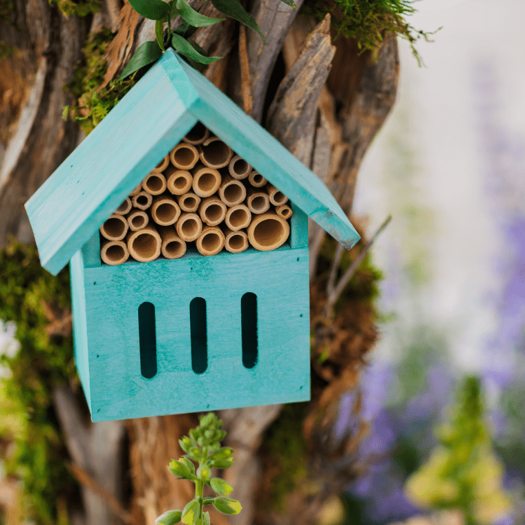 A teal birdhouse posted to a tree