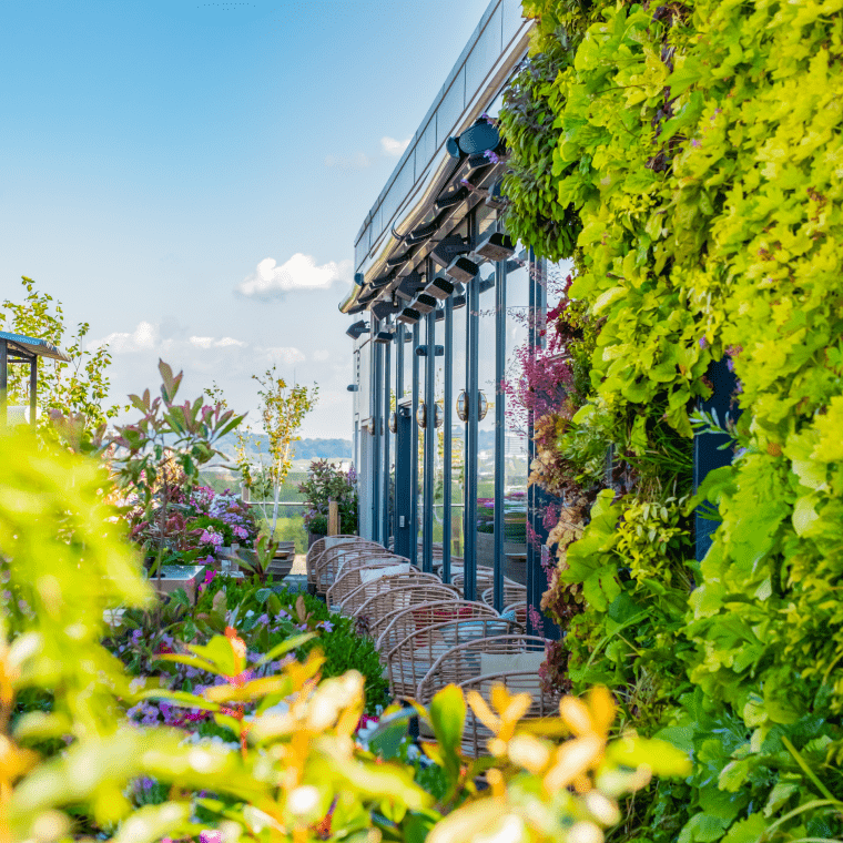 View of rooftop between plant life