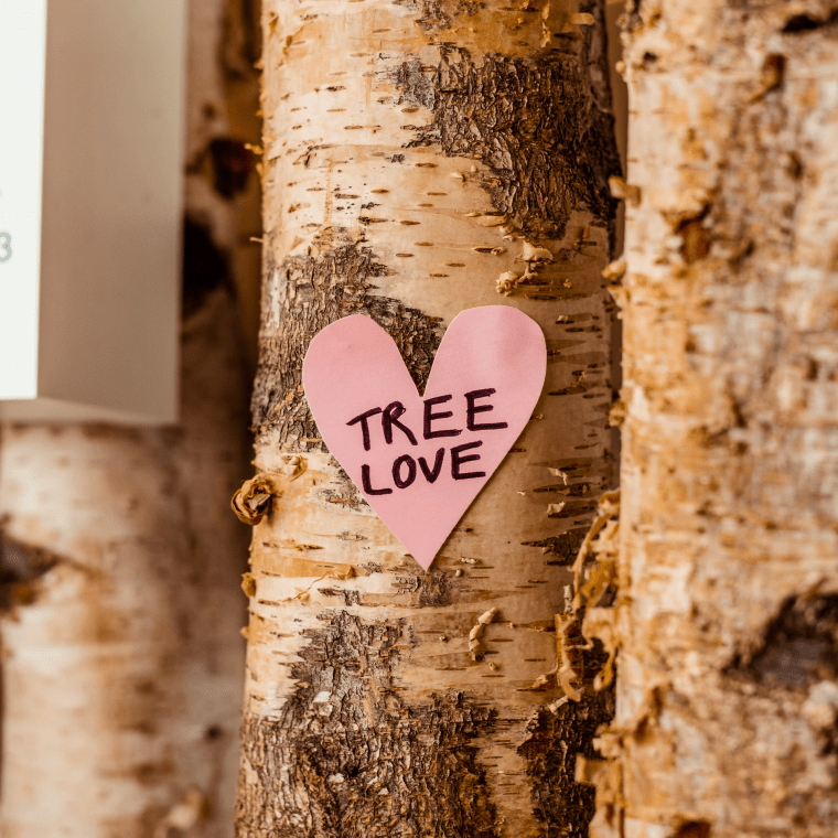 Tree love
