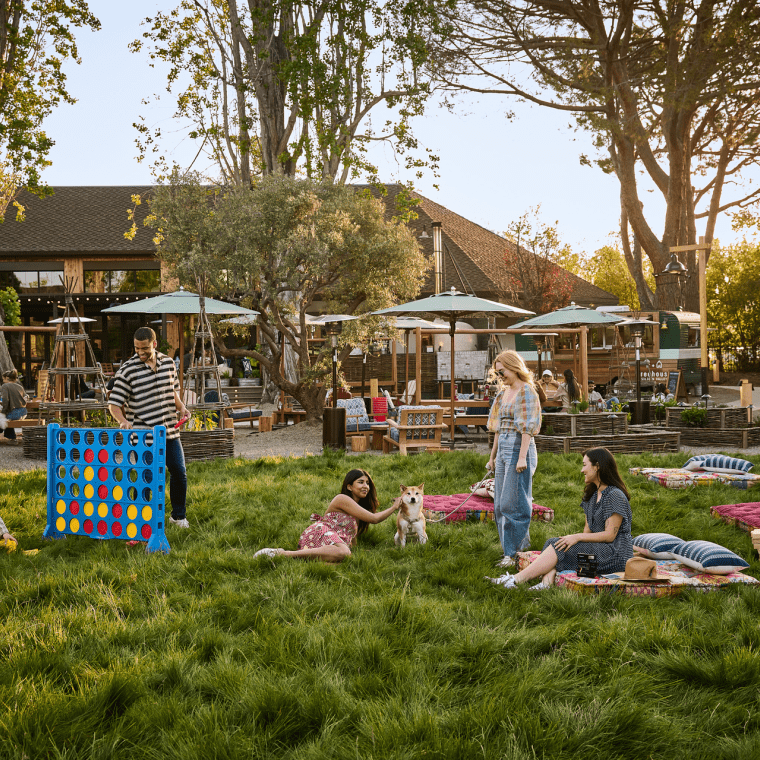 Lawn Games