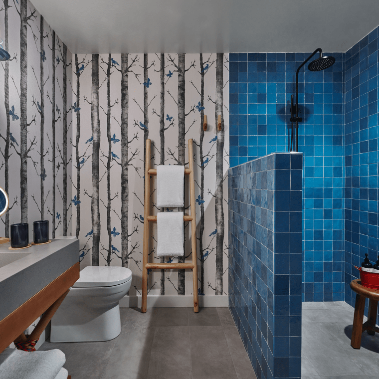 Bathroom with ladder towel rack and walk-in shower
