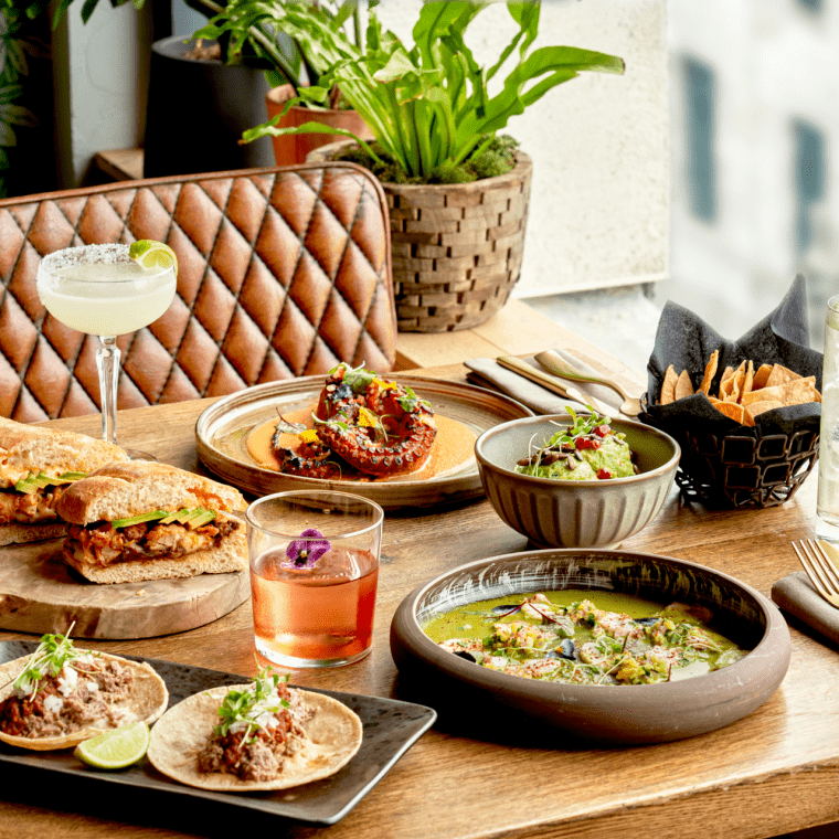 A spread of dinner on a table by a window at Treehouse Hotel.