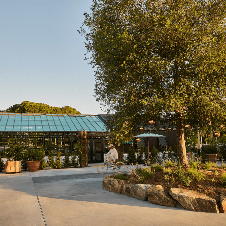 Exterior of Treehouse Hotel Silicon Valley