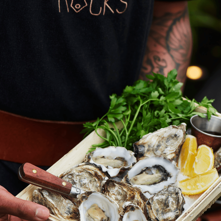 Oysters The Nest