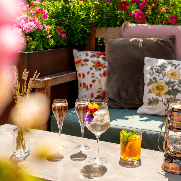 Nest drinks
