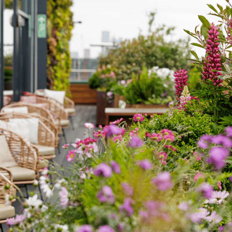 The Nest in Treehouse London