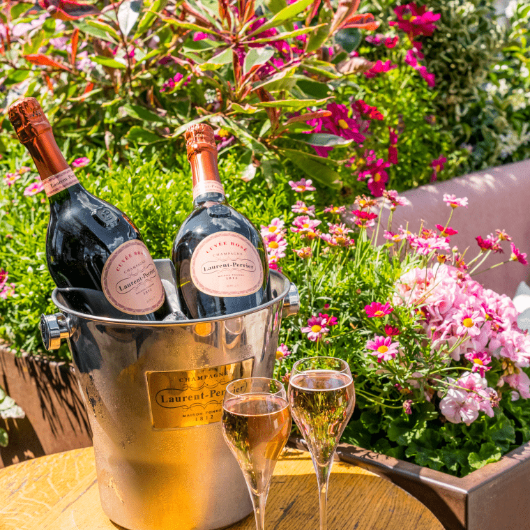 The Nest Summer Terrace