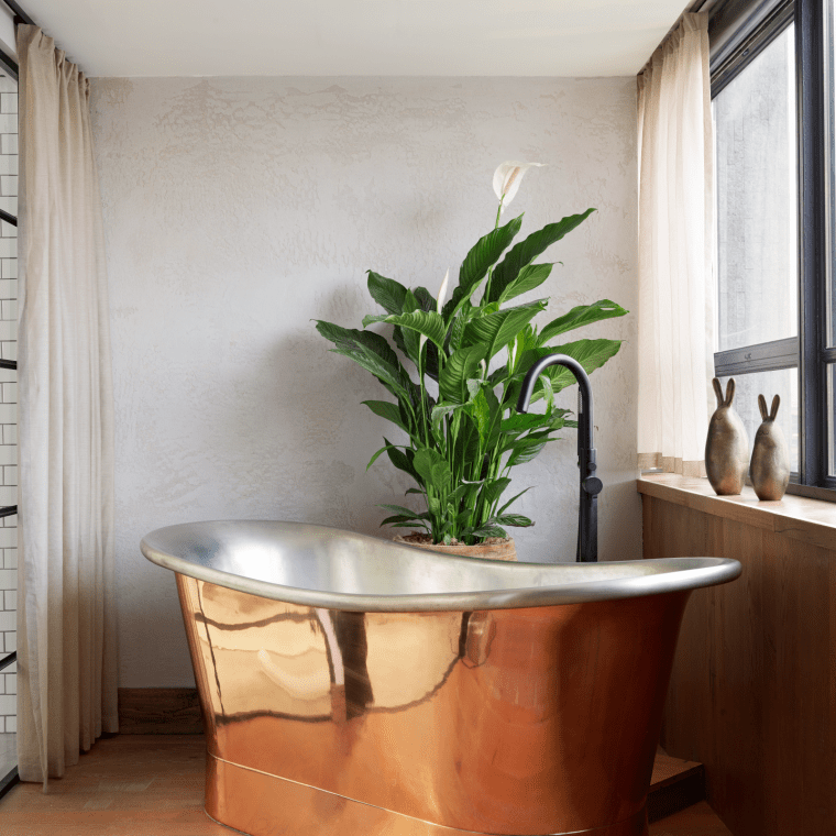 bathtub next to a window with a plant behind it