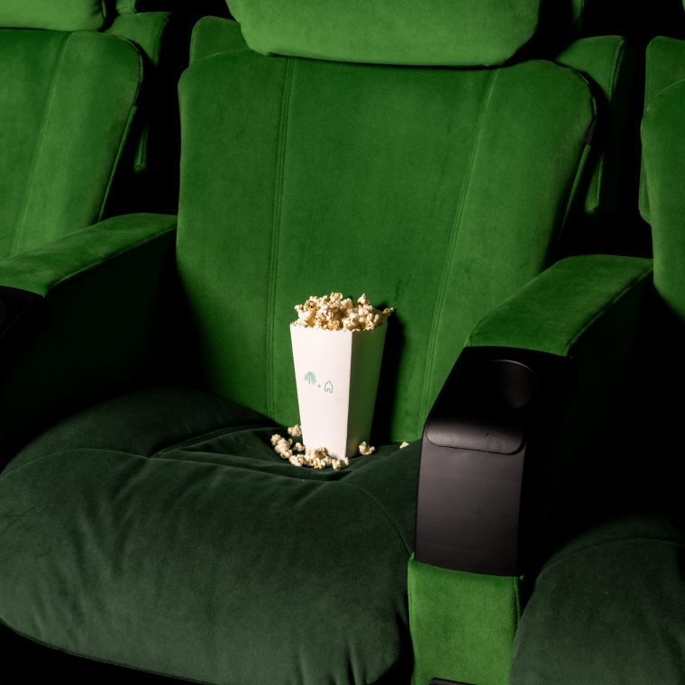 Flix Screening Room 