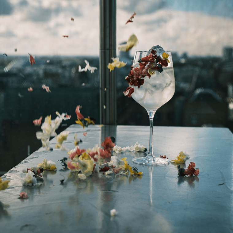 Nest cocktail fun