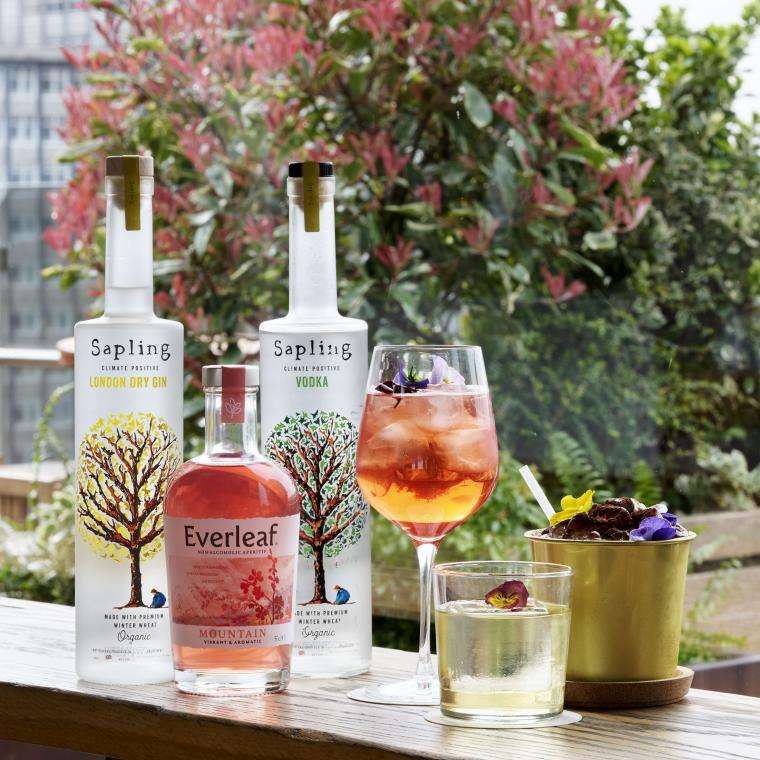 Sapling x Earth Month 