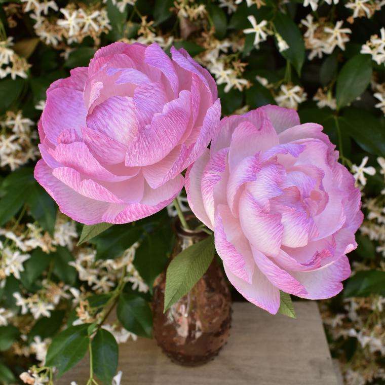 Peony Workshop