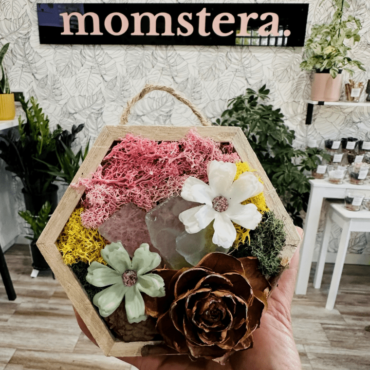 Momstera Lounge