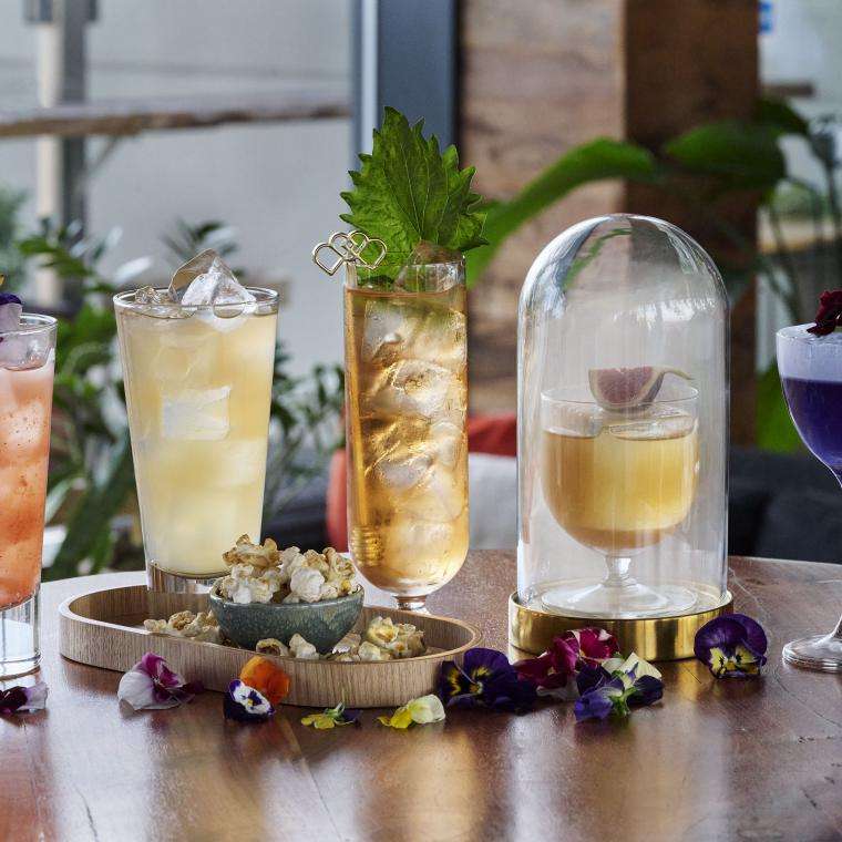 Nest signature cocktails 
