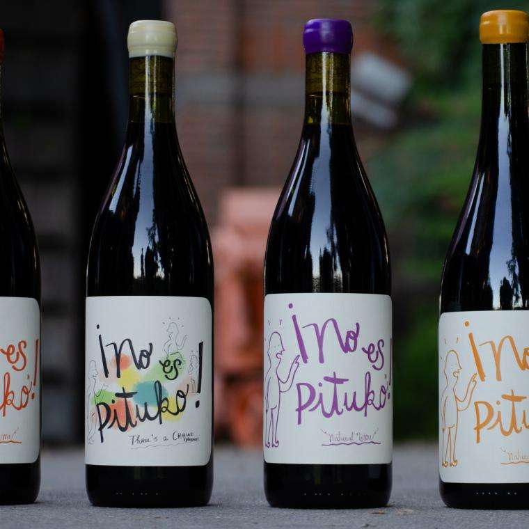 Bottles of Chilean Wine