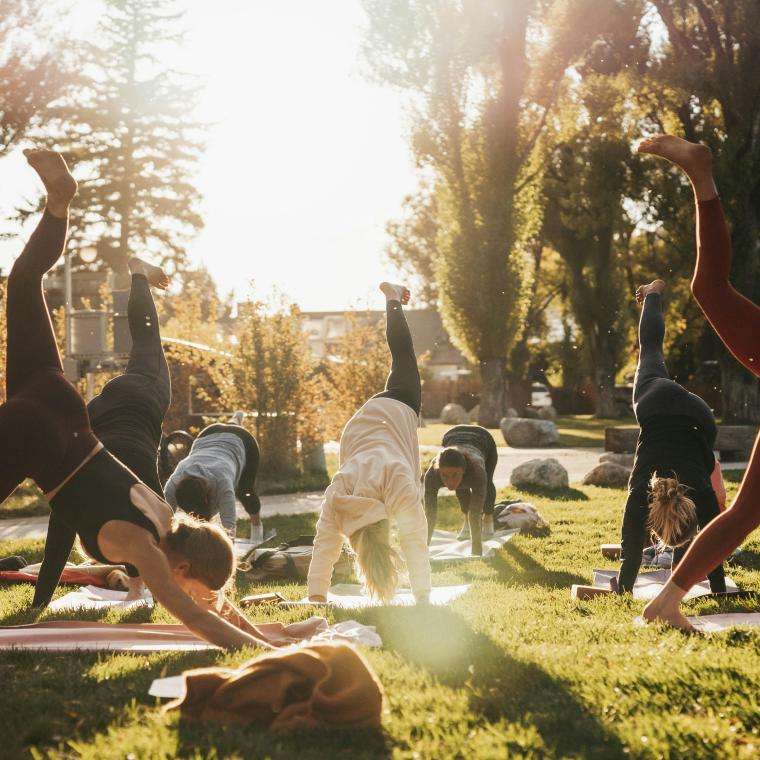 Yoga on the lawn