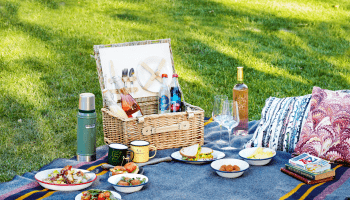 picnic set up outdoors