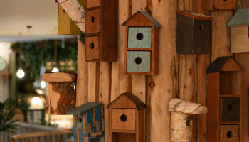 Birdboxes in lobby