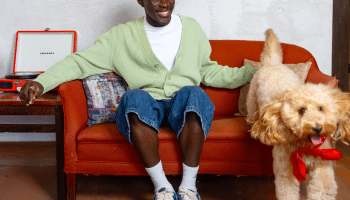 A dog jumping off of a couch while a man smiles 