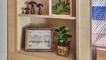 Wooden shelf with green and yellow knick knacks and plants
