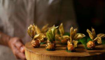 Catering