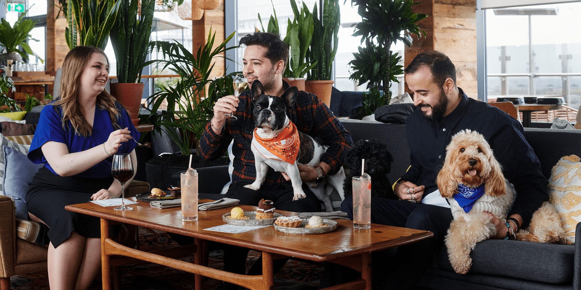 a group of friends dining with their dogs