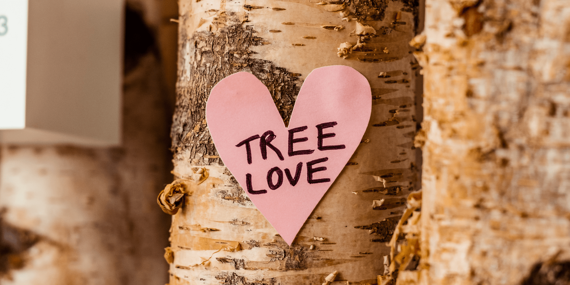 Tree love