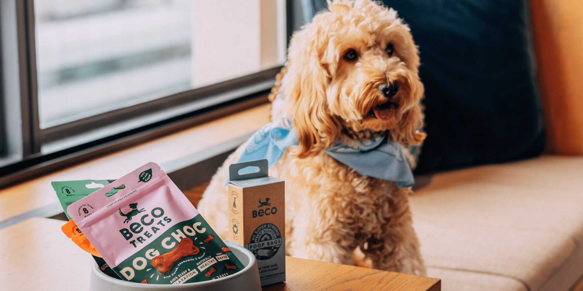 A golden doodle puppy sitting in a bench by the window next to a dog bowl with treats inside