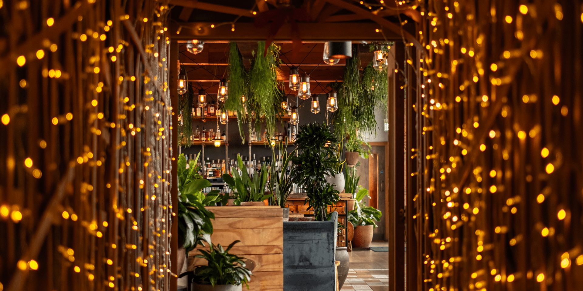 The entrance to The Nest, lit up and decorated for Christmas.